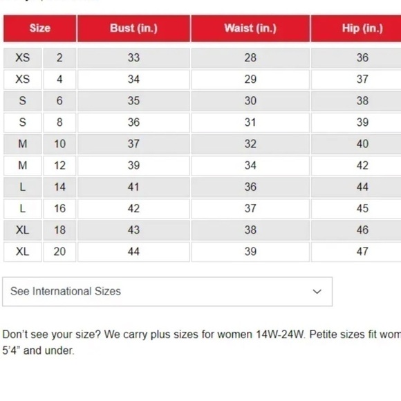 Vince Camuto Animal Print Plunging Belted One Piece Swimsuit Swimwear 10 New - Picture 4 of 4